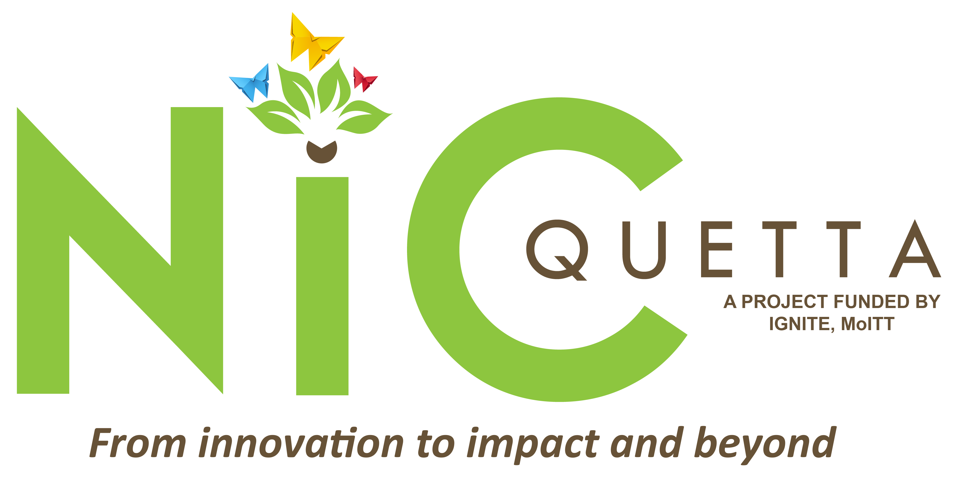 NIC logo